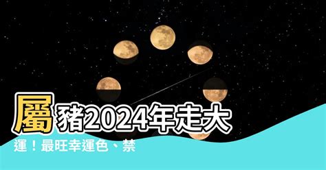 屬豬 幸運色|【屬豬幸運色】屬豬者專屬幸運色！2024豬年最強運勢指南